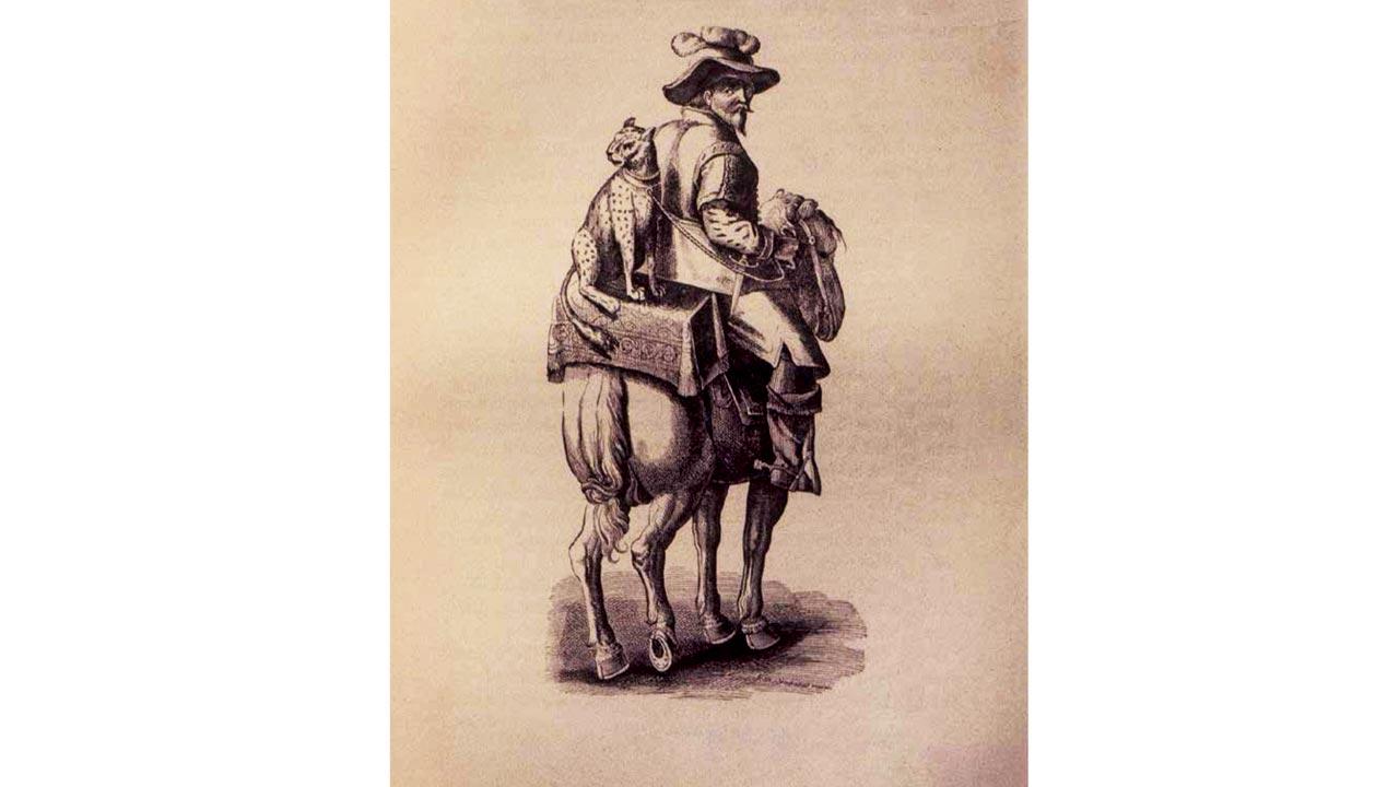 African cheetahs were taken to Europe from the Maghreb and Egypt for sport since ancient times, Jean Stradan, drawing. From Nott, 1886. Author’s collection