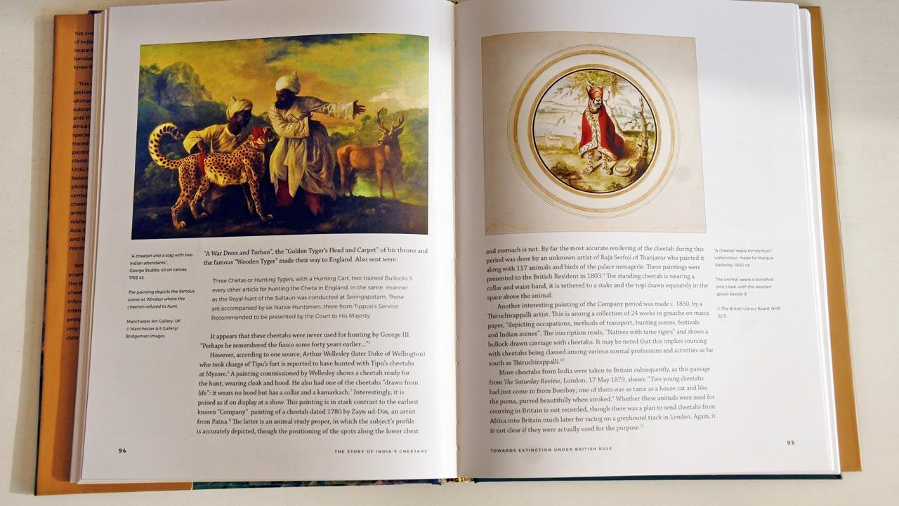 Arthur Wellesley (later Duke of Wellington) who took charge of Tipu’s fort is reported to have hunted with Tipu’s cheetahs at Mysore. The book features a painting commissioned by Wellesley circa 1800 CE, which shows a cheetah ready for the hunt, wearing cloak and hood. Pic/Ashish Raje