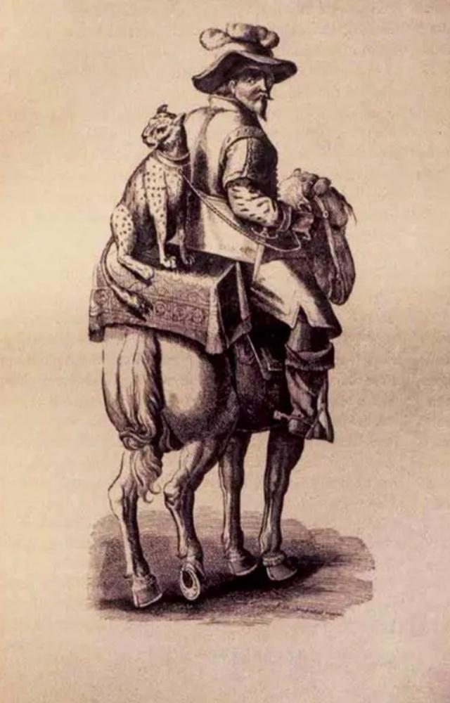 African cheetahs were taken to Europe from the Maghreb and Egypt for sport since ancient times, Jean Stradan, drawing. From Nott, 1886. Author’s collection