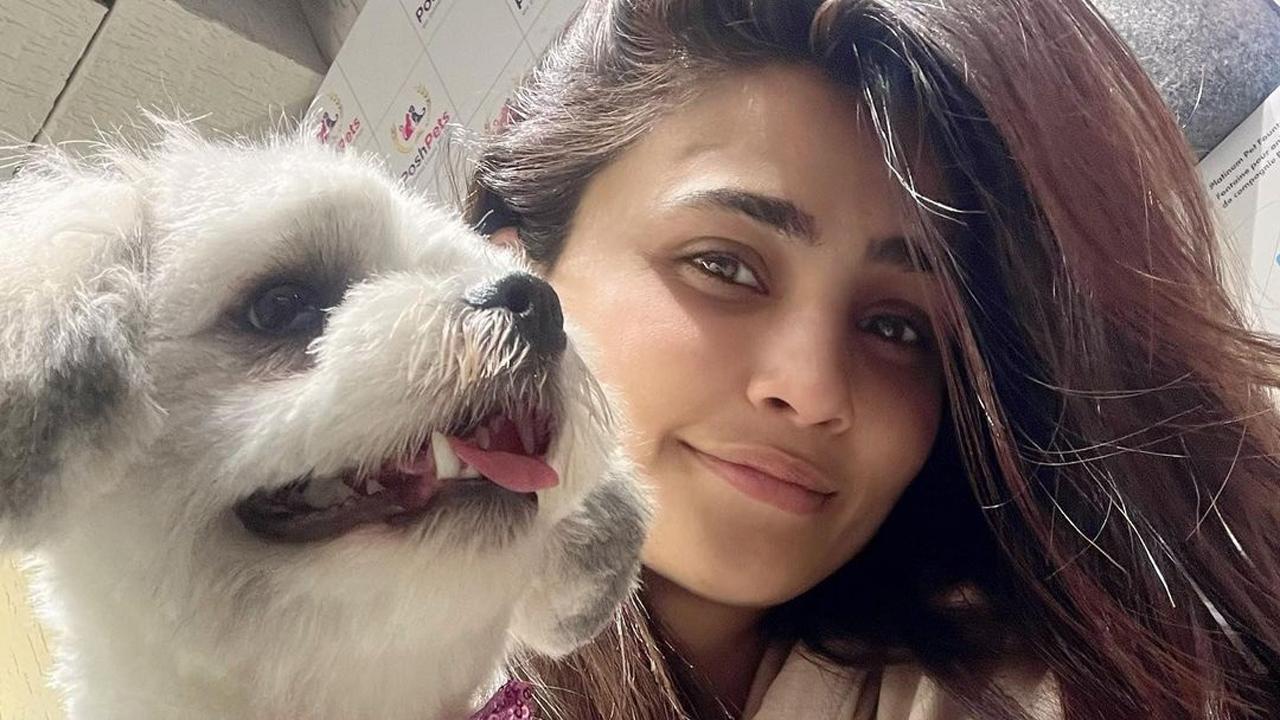 Daisy Shah promotes animal welfare on National Pet Day