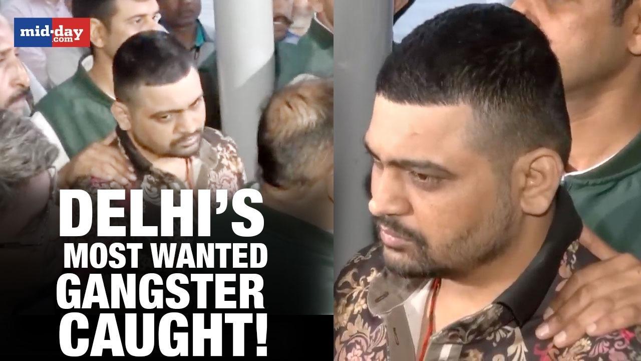 ‘No Gangster Bigger Than Him In Delhi-NCR’, Says Police On Deepak Boxer’s Arrest