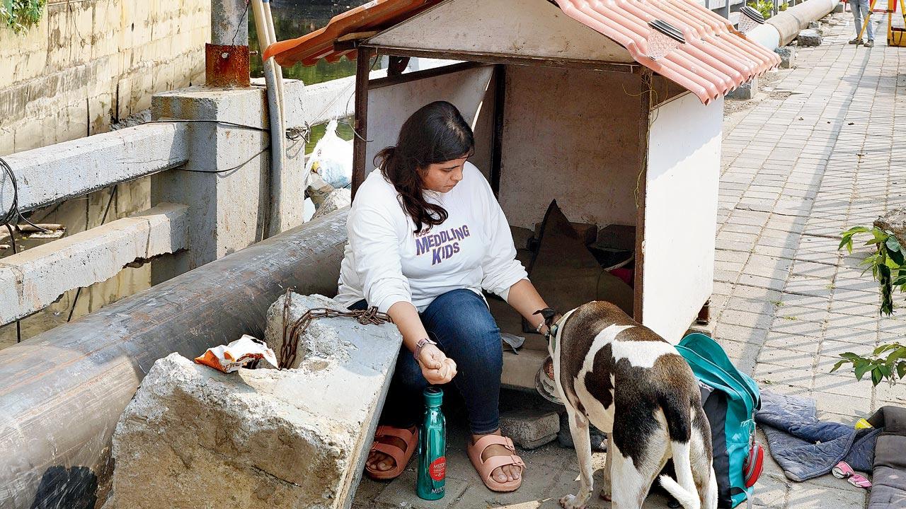 Shivani Sharma’s family had to move apartments after their landlord gave in to pressure from the society’s managing committee and did not renew their lease. Sharma followed all the rules of feeding community animals, and had kennels constructed outside the premises for them, which the committee found “unaesthetic”. Pic/Aishwarya Deodhar 