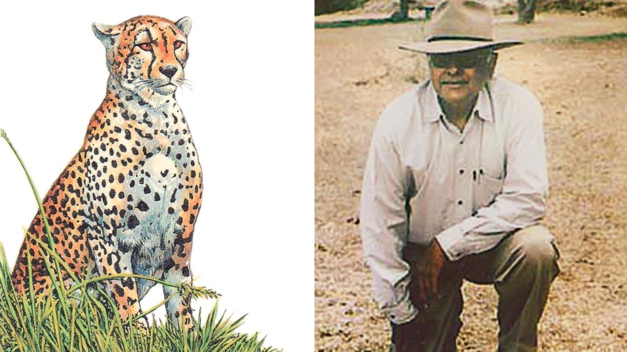 An alert cheetah surveys the field, artist unknown, 20th century.  Pic Courtesy/Divyabhanusinh; (right) Divyabhanusinh