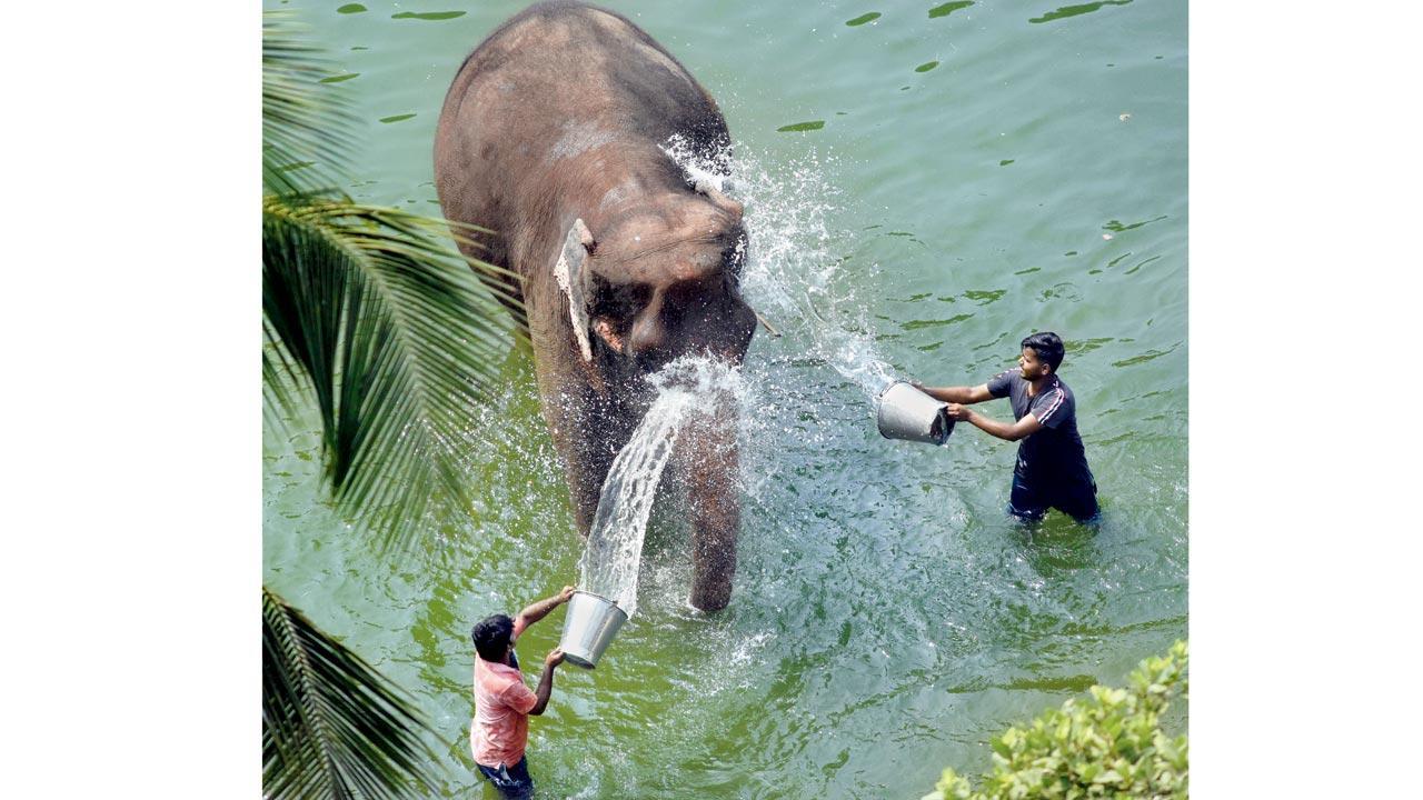 Mumbai Diary: Saturday Dossier