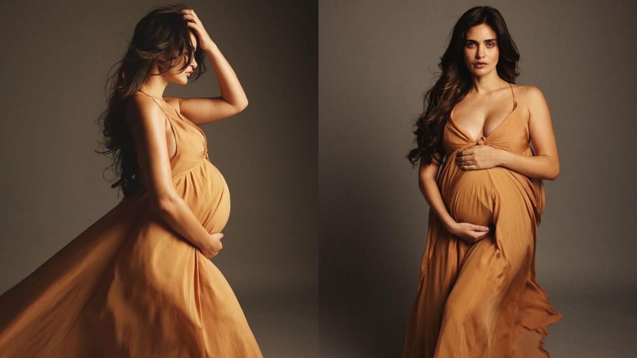 Arjun Rampal and Gabriella Demetriades expecting second child together