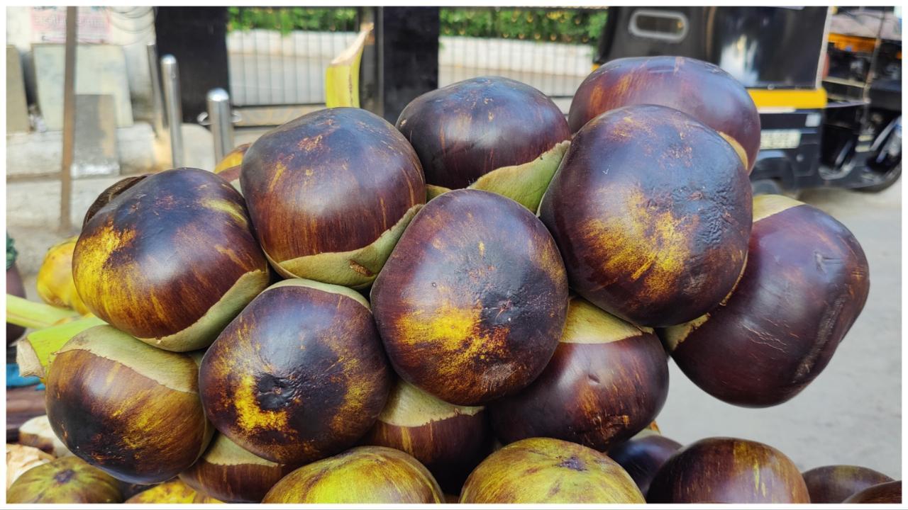 Indian Summer Special: Have you tried this rare Indian fruit found in Mumbai? 