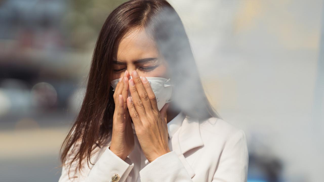 World Liver Day 2023: Air pollution is linked to fatty liver disease