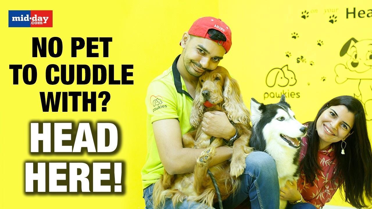 Inside Mumbai’s Dog Cuddling Centre | Cute Moments Cuddling Dogs