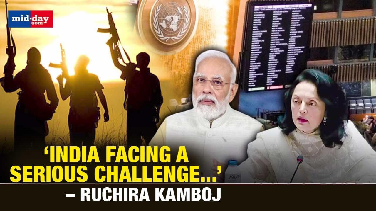 India facing a serious challenge of cross-border weapons supply: Ruchira Kamboj