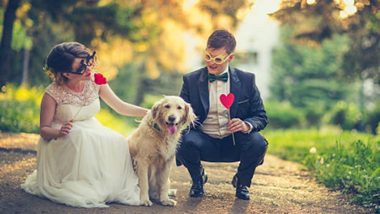 Pet-friendly weddings are trending in India