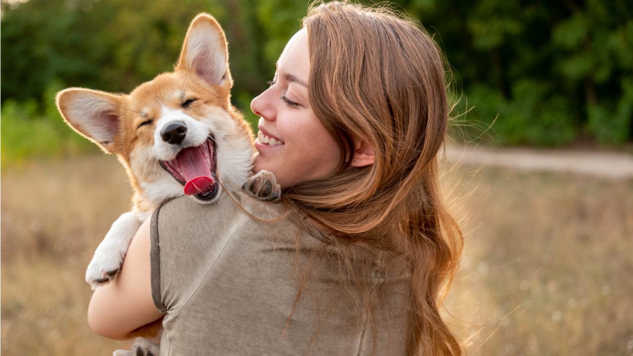 National Pet Day 2023: Five essential items that every pet parent must have