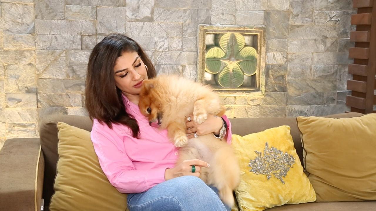 Celebrity Pet Parents 2! Meet Raveena Tandon's naughty pet baby Lucifer