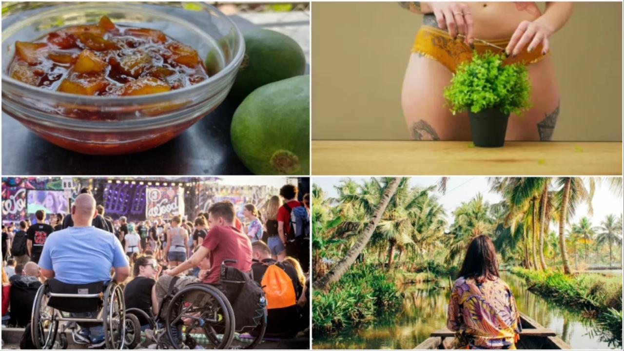 From pickles to wellness: Here is a weekly roundup of our top feature stories
