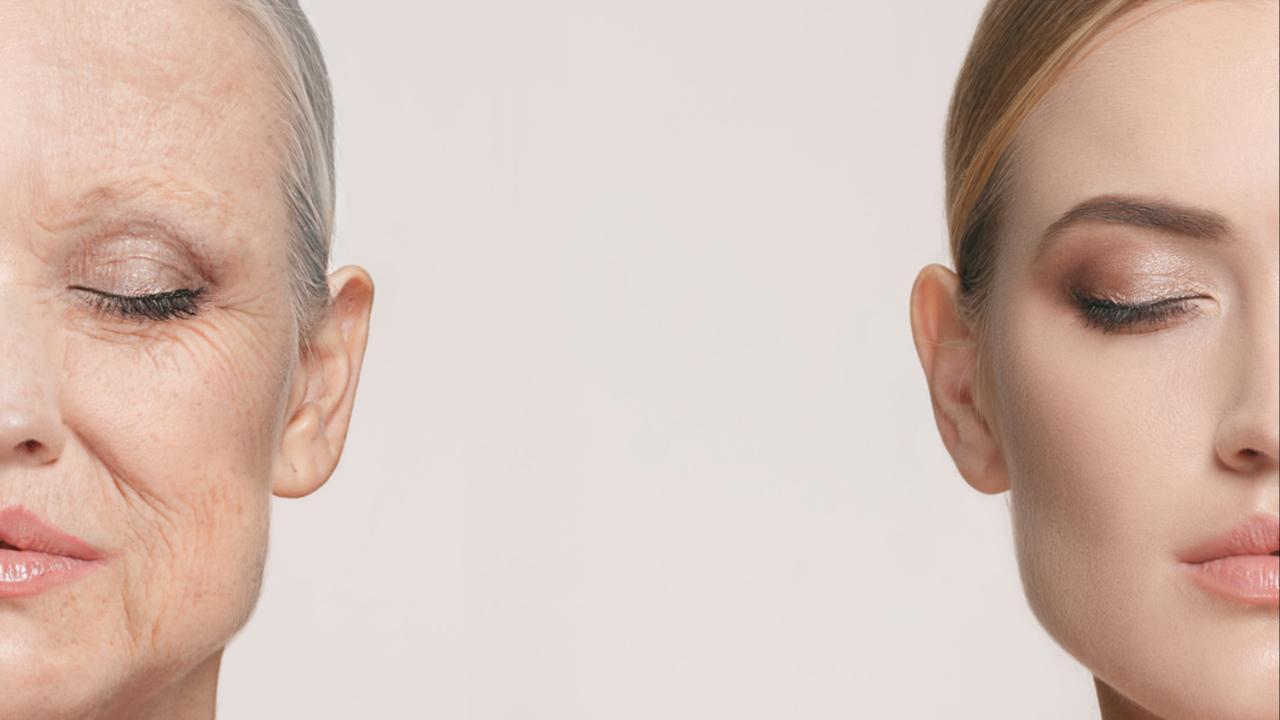 Ageing in humans can potentially be stopped: Study