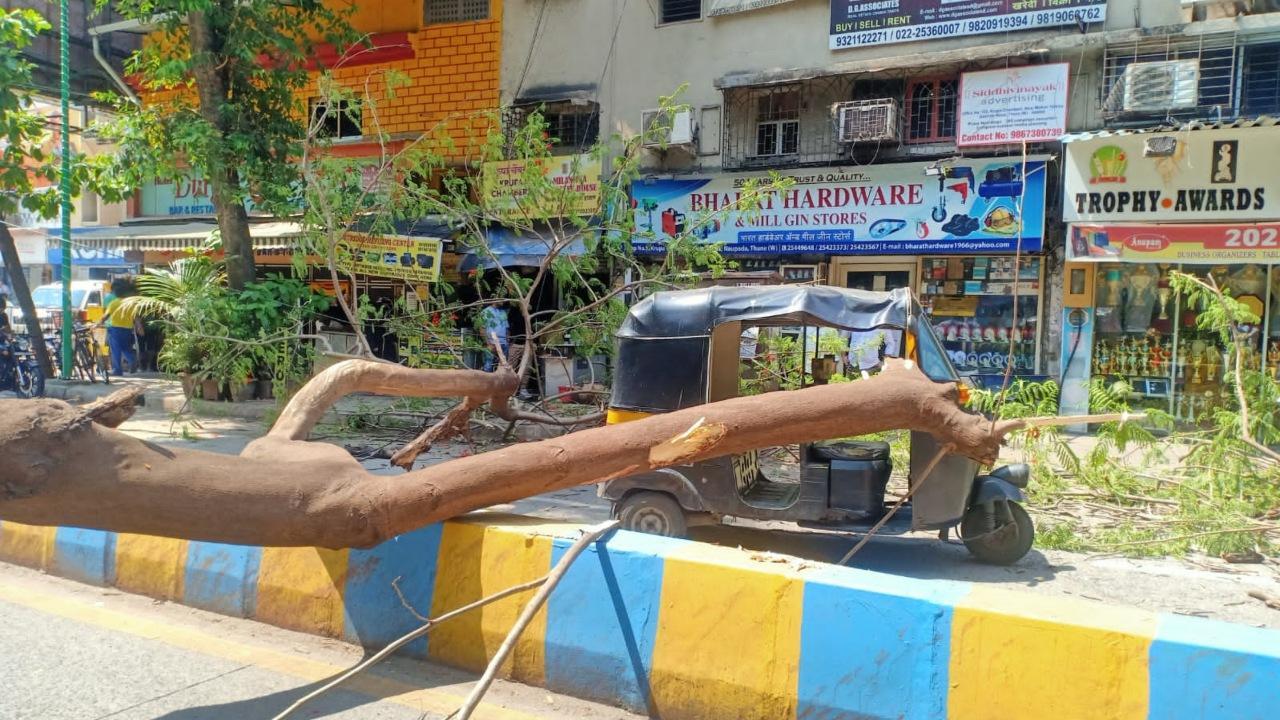 Tree falls on rickshaw in Naupada, no injuries reported