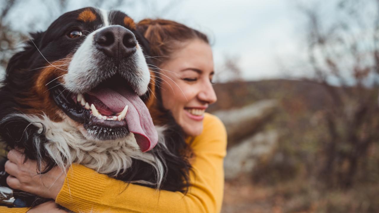 World Pet Day 2023: Five important vaccinations for dogs animal caregivers must know about