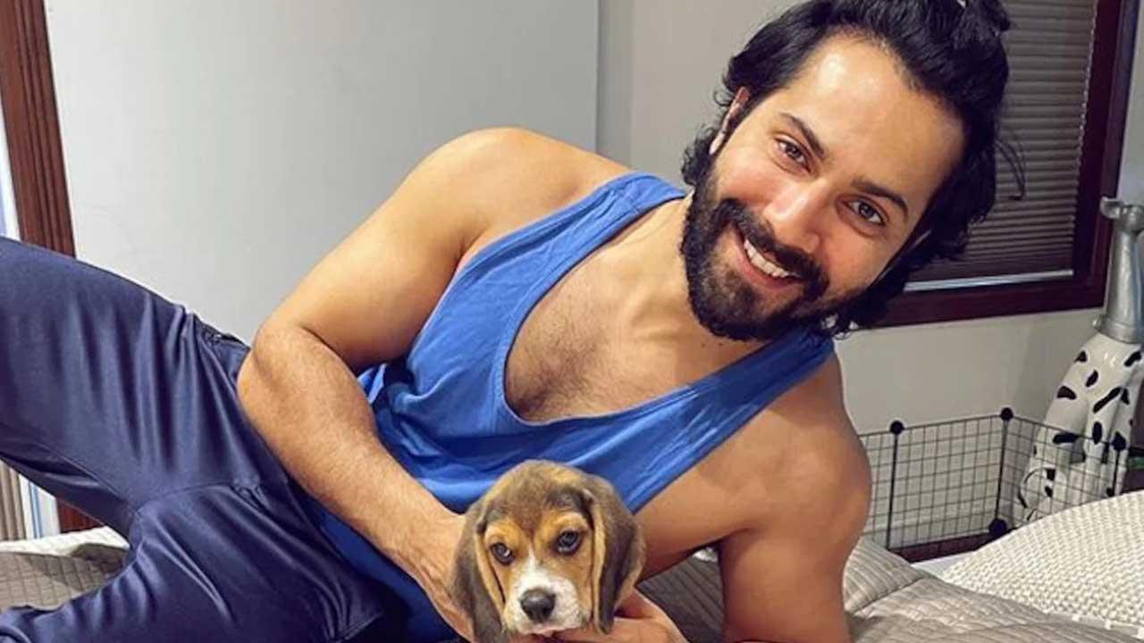 Cute moments with Varun Dhawan and his pet Joey