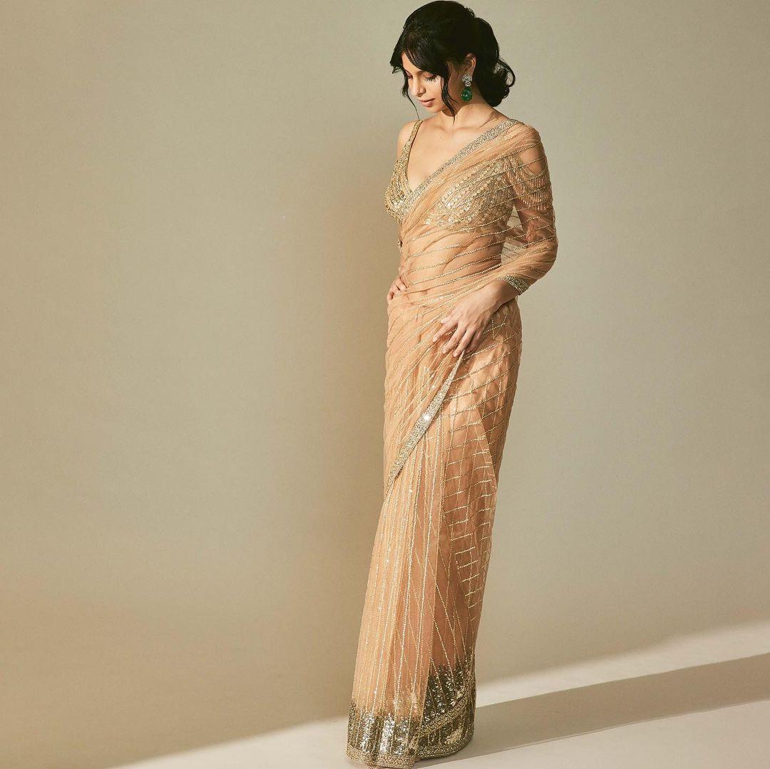 The choice of a soft, earthy-toned palette adds a touch of elegance and sophistication to the ensemble, making it a versatile choice for various festive occasions. 