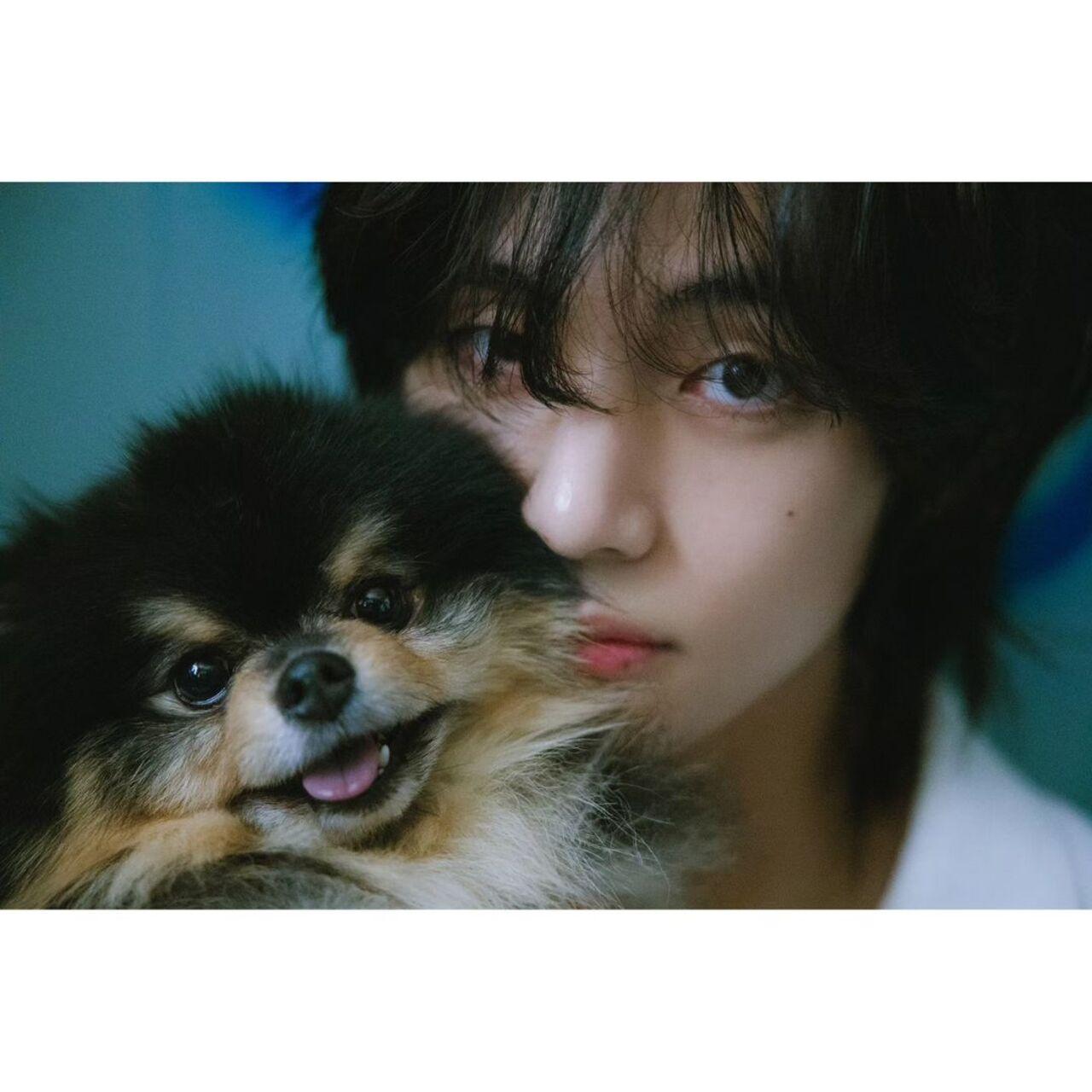 The entire 'Layover' photoshoot is tinted with a retro vibe that points towards the mood of the album itself. Unlike Tae's more flashy stage persona, his previous solo singles like Winter Bear, Sweet Night and Scenery have alluded to the softer and more atmospheric jazzy, R&B, soul sounds that the artist leans towards and is inspired from