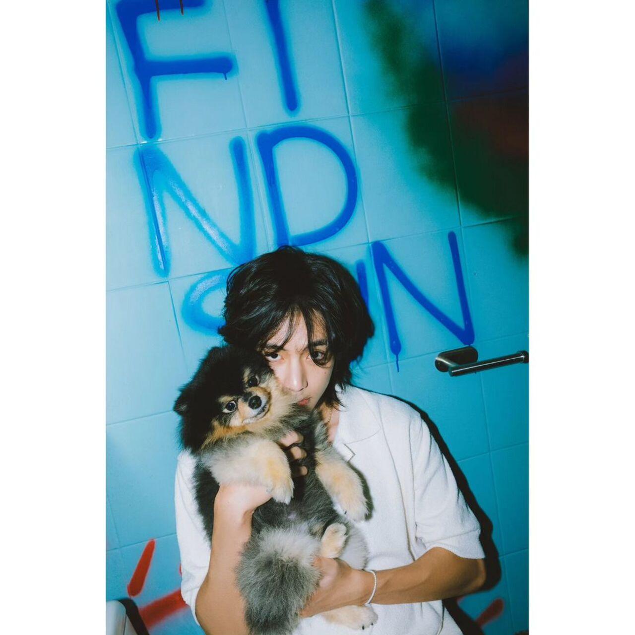ARMYs look forward to seeing all of BTS's furry companions, whether it is Jungkook's pet dog Bam, or Yoongi's dog, Holly. What fans especially fell for was that the entire 'Rainy Days' MV is tinted in hues of blue and yellow - the only colours that dogs are able to perceive!