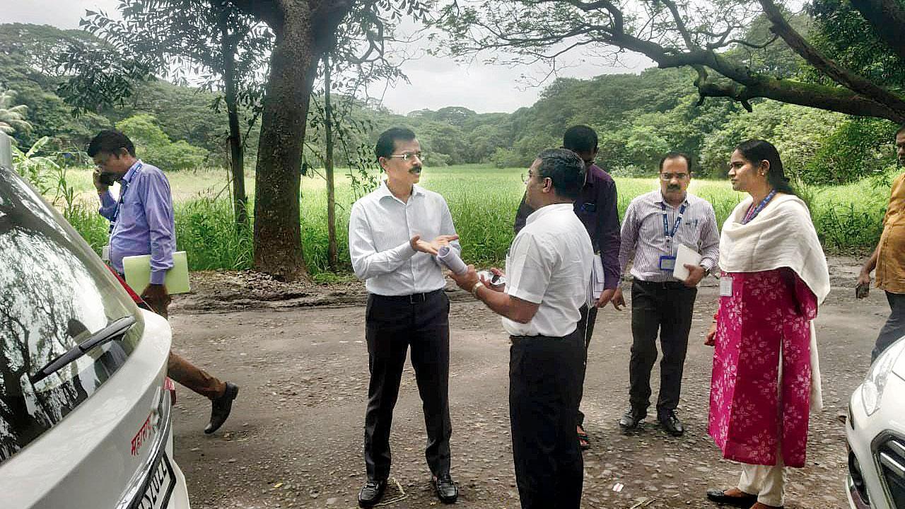 Mumbai: New leadership sparks hope for Aarey Colony
