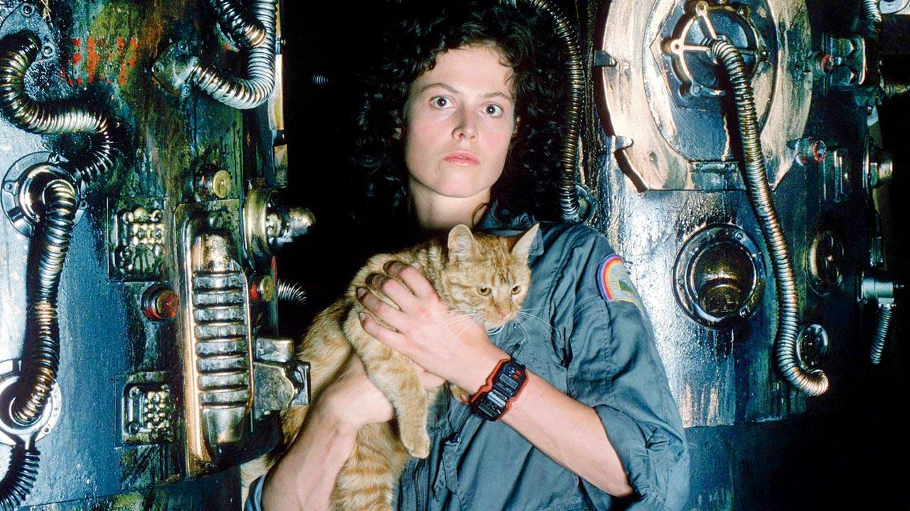 A still from the 1979 film, Alien