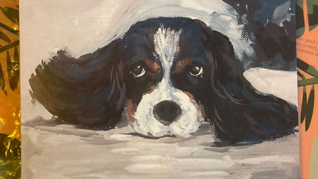 Combining her love for art and dogs, Adhya Soni sells set of five prints at Rs 250 to raise money and contribute to NGOs dedicated to rescuing and caring for dogs within the city throughout the past year. Photos Courtesy: Adhya Soni