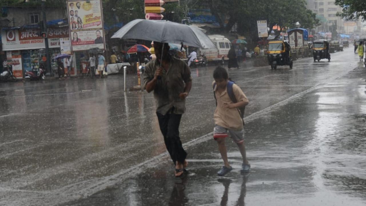 According to the BMC, none of the major lakes that supply water to the Mumbai's municipal area are currently 'overflowing'. 