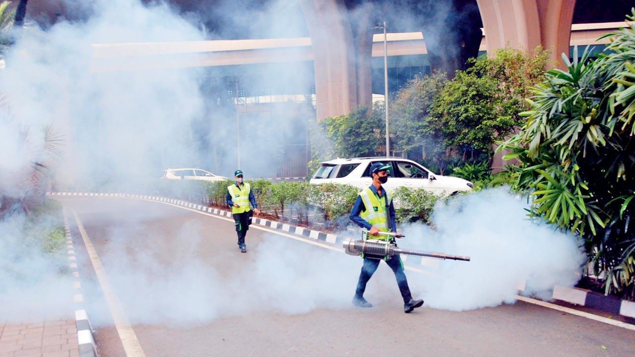 Mumbai: August sees rise in malaria and dengue