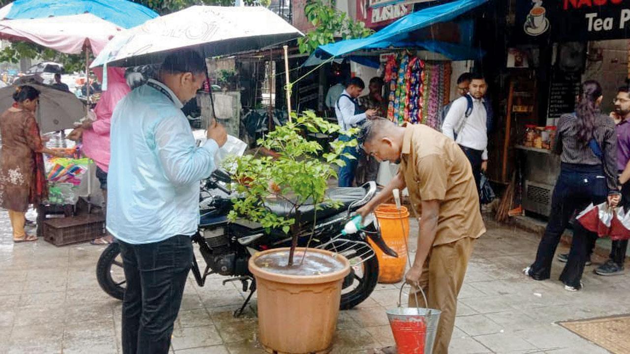 Mumbai: BMC zaps mosquito breeding spots in pots