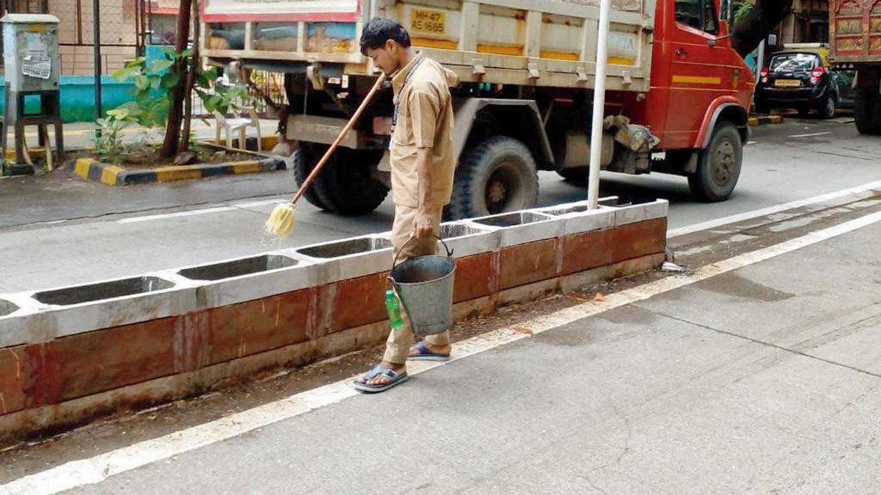 Planters along the divider at Hanuman Road, Vile Parle East, got anti-larvae treatment, too