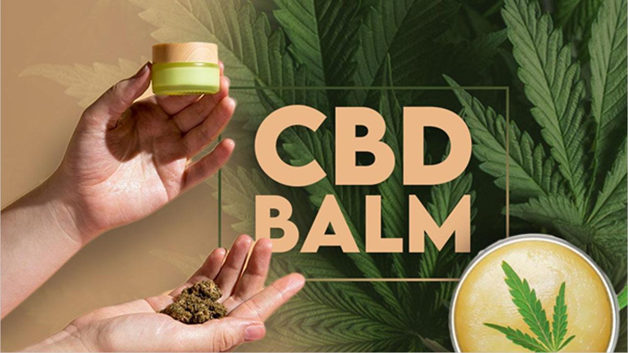 9 Best CBD Balms, Creams and Lotions of 2024 for Pain Relief, Inflammation 