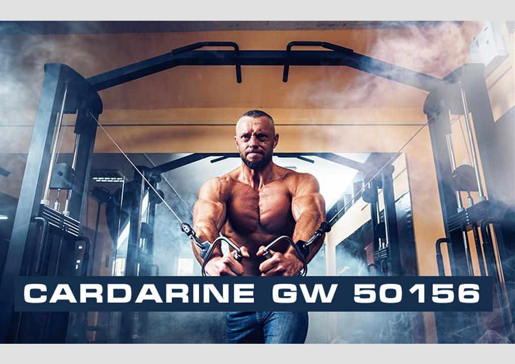 Cardarine GW 50156: Buy Sarms for Bodybuilding Online