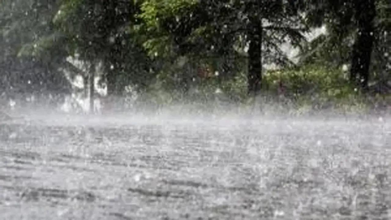 Maharashtra: 24 dams overflowed in Raigad this monsoon; district recorded 81.6 pc of average annual rainfall