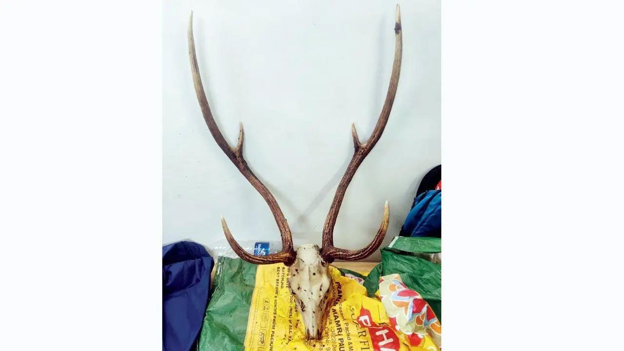 Keep commercial value of species under wraps