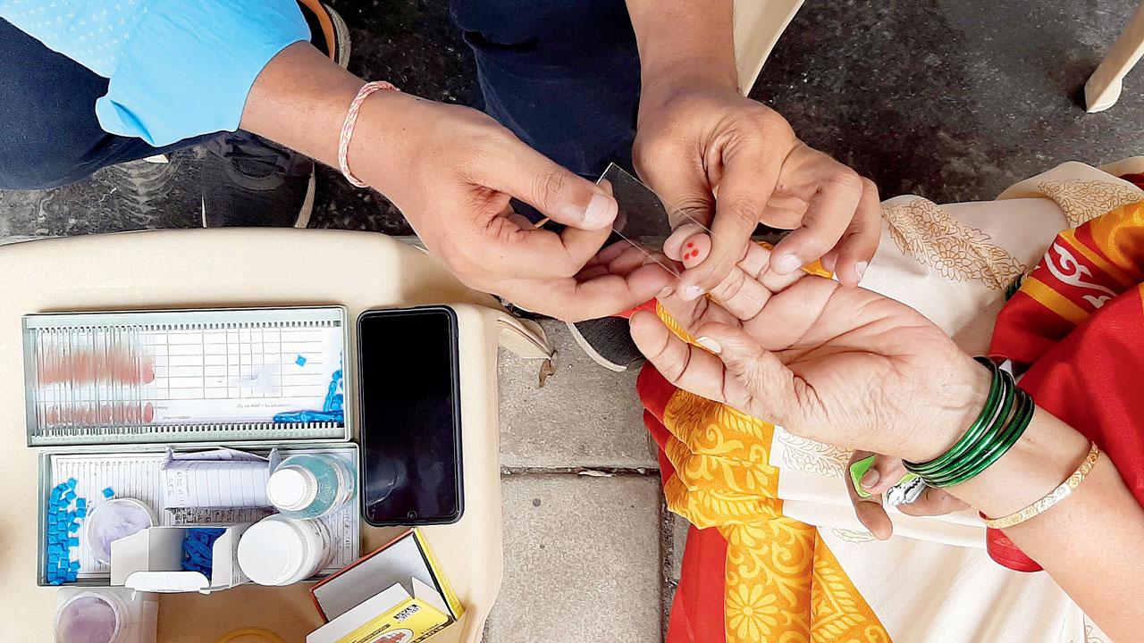 A BMC healthcare worker collects blood samples. File Pic/Satej Shinde