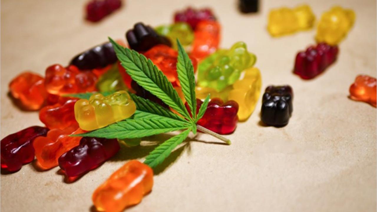 Earth Med CBD Gummies Reviews  [Controversial Update] You Must Need to Know