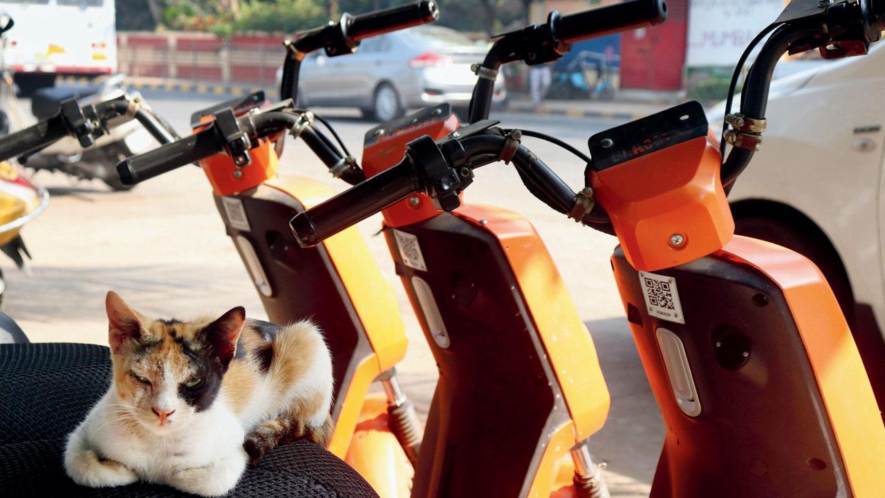 Maharashtra: Sale of power to e-vehicles in state sees three-fold rise