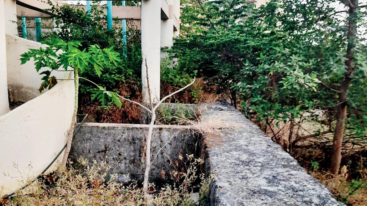 The boundary wall on the agricultural plot at Karrm Residency