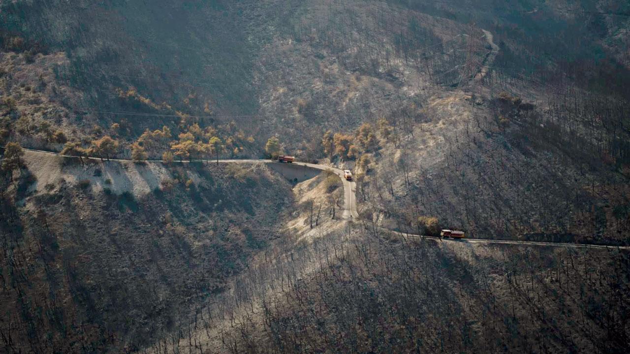 Firefighters struggle to control Greece wildfires
