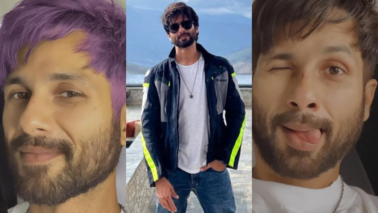 Shahid Kapoor posts hilarious reel flaunting his purple hair, watch