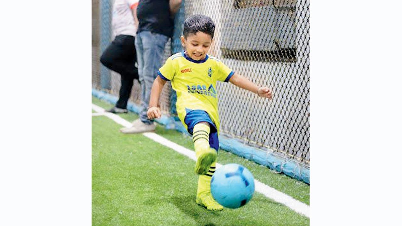 Multisports Turf, 