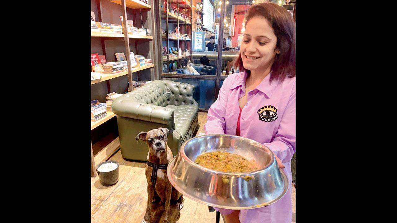 Head to this Bandra eatery's special dog menu with your furry friend