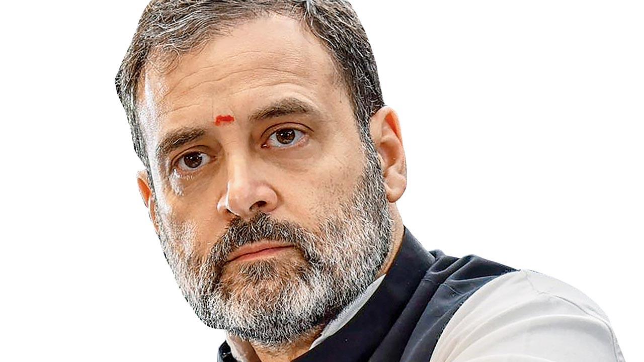 Rahul Gandhi, MP, Congress