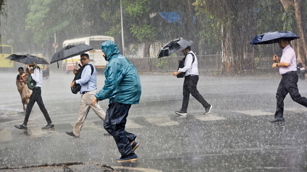 Mumbai braces for light to moderate rainfall as monsoon makes a comeback