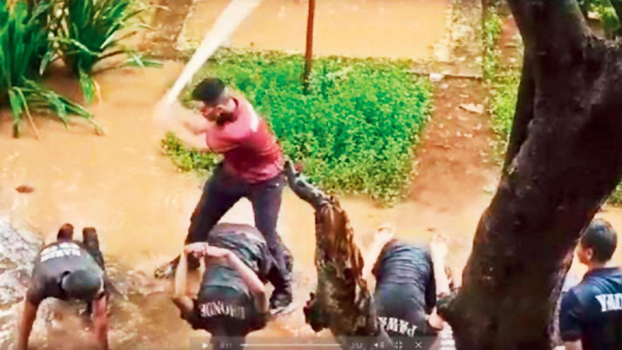 Thane: Clip of NCC cadets being thrashed on college campus sparks alarm