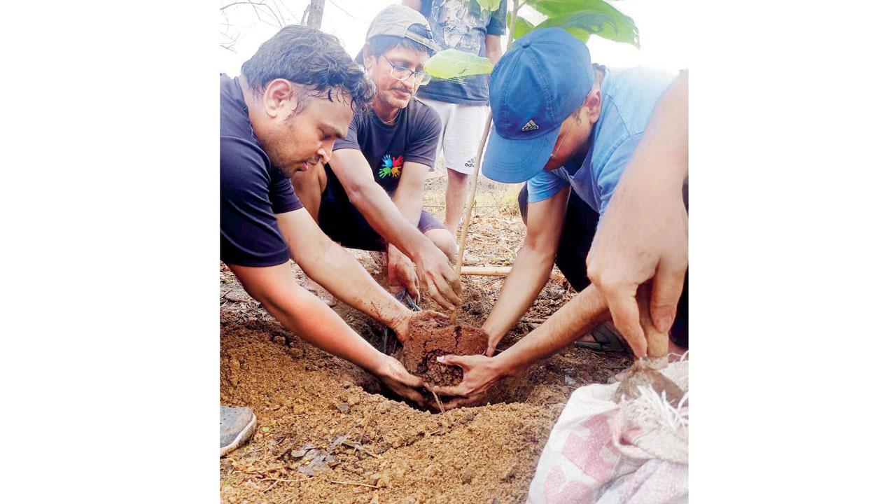 Volunteers at an earlier planting drive by the organisation