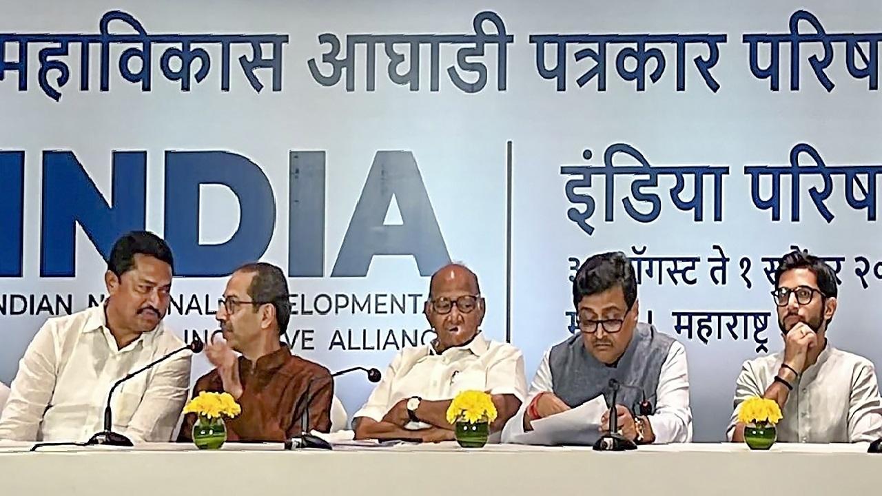Two more regional parties to join I-N-D-I-A alliance, says Shiv Sena (UBT) MP Anil Desai