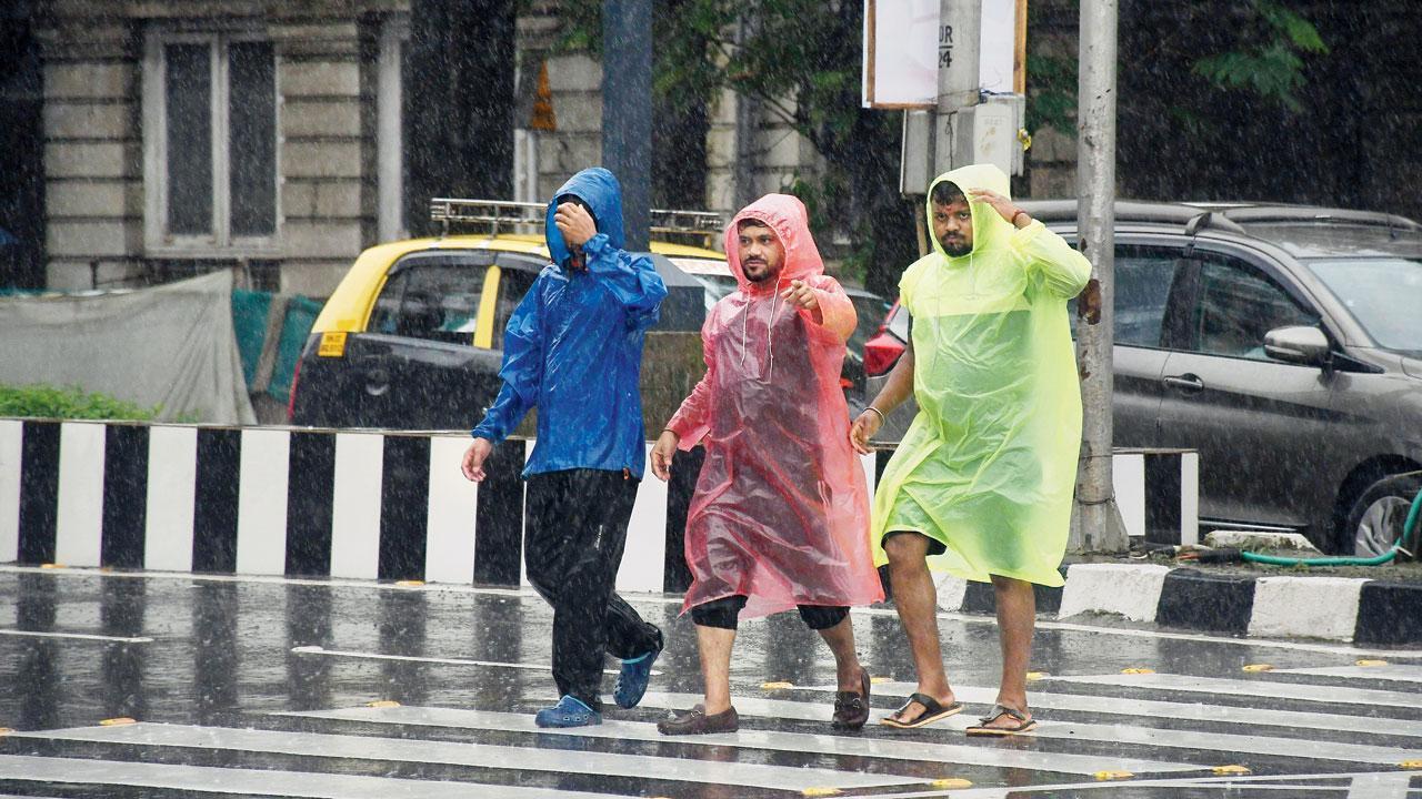 In Photos: Mumbai weather; possibility of light to moderate rainfall