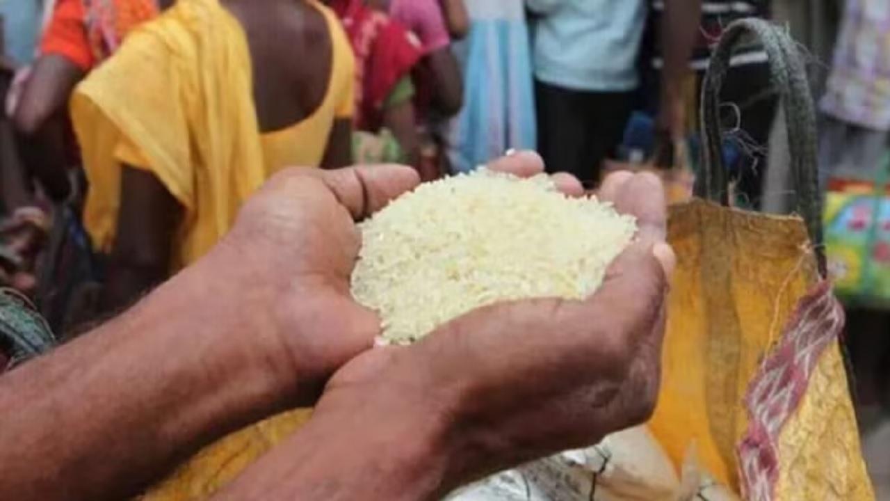 Maharashtra: 33 rice mills in Gondia blacklisted for supplying poor quality rice